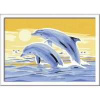 SON: Springende dolfijnen